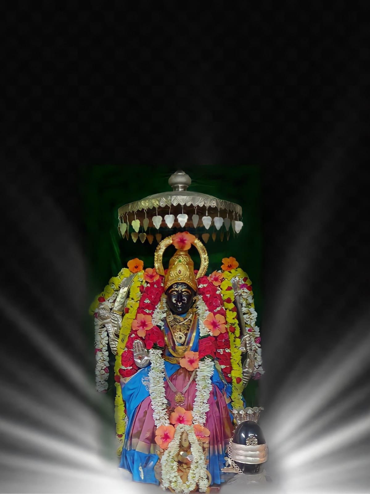 TV9 Telugu